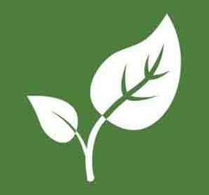 logo.jpg